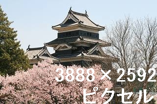 94
