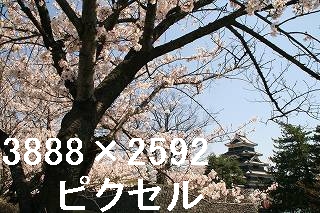 95