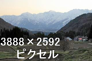 26