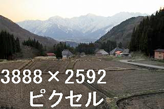 29