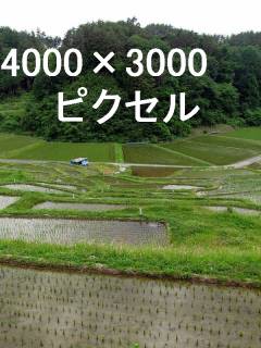 40
