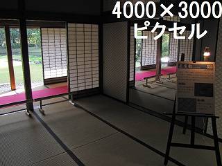 30
