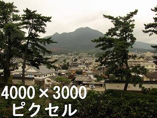 50