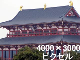 41