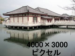 54