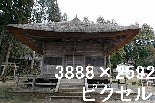 28