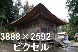 29