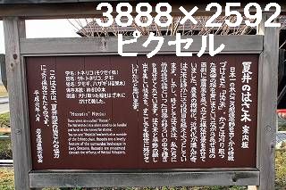43