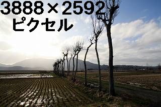 47