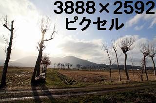 51