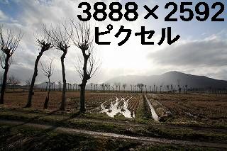 53