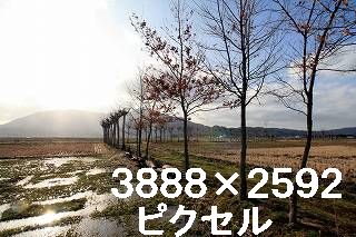 56