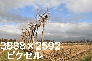 59