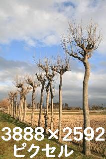 60