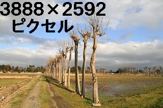 63