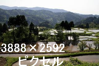 29