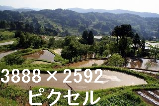 30