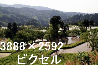 37