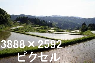 44
