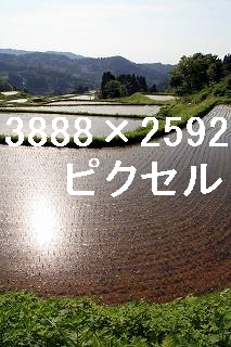46