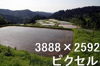 48