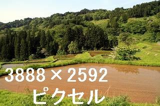 49