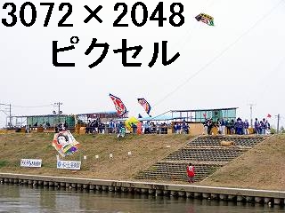 29