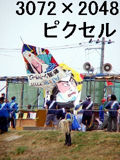 43