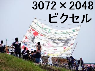53