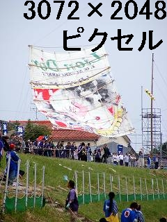 55
