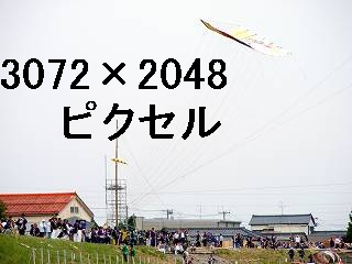 61