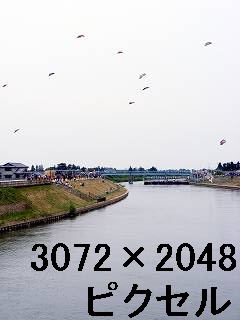 73