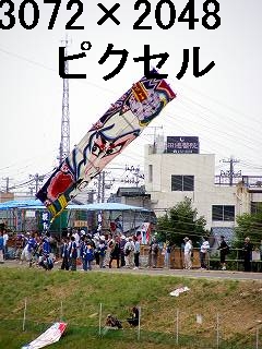 79