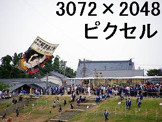 81