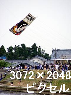 82