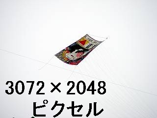 96