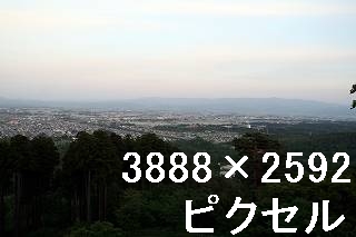 21