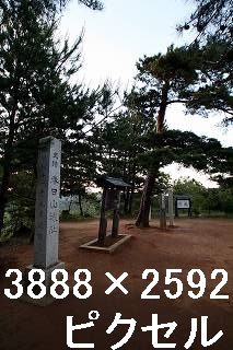 28