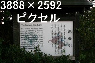 32