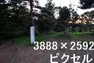 34