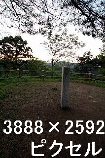 36