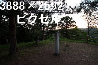 39