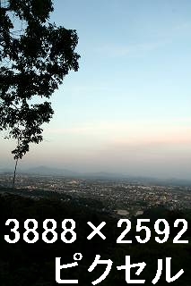 42
