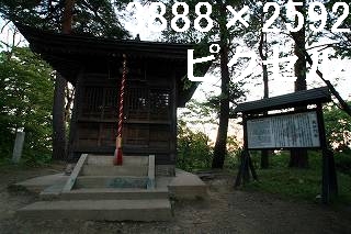 44