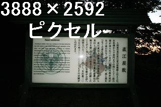 48