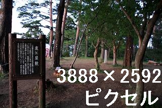 49