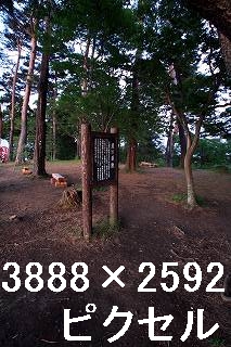 52