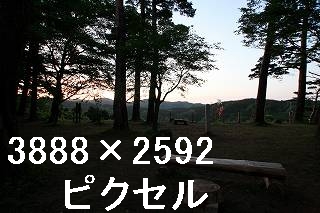 53