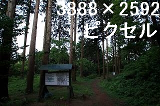 55