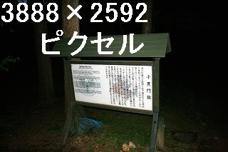 56